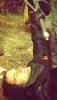1975MontyPythonandtheHolyGrail3.jpg
