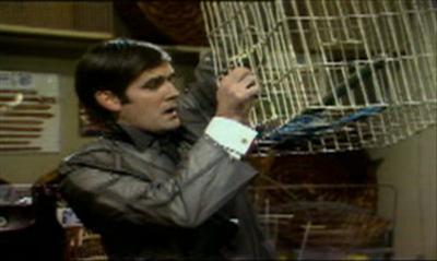 19691974MontyPython4.jpg