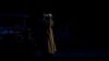2001GosfordPark5.jpg