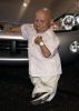 2002JaguarTributetoStyleonRodeoDrive.jpg