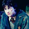 lf_harryavatar_1.png