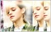 banner__0.png