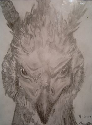 fawkes04.jpg