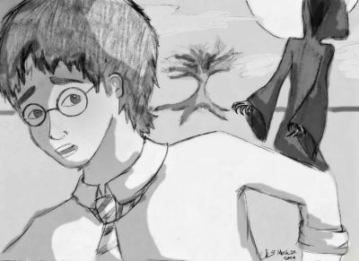 harry12.jpg