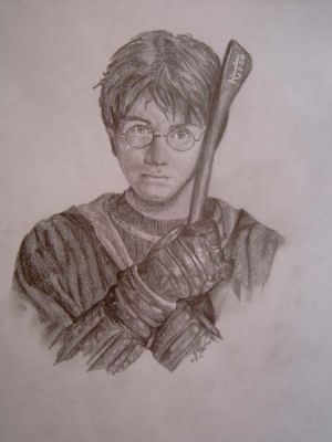 harry26.jpg