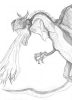 dragao01.jpg