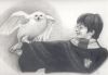 harry11.jpg