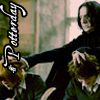Severus.jpg