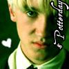 draco.jpg