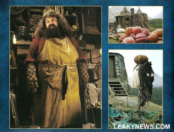 ps_ultimateedition_booklet_021.jpg
