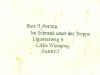 ps_ultimateedition_booklet_012.jpg