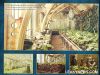 ps_ultimateedition_booklet_013.jpg