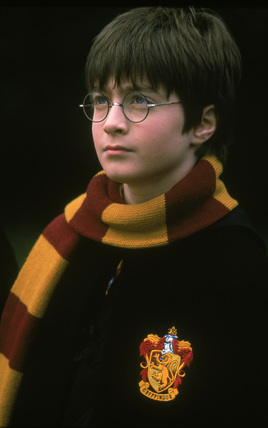 198873.jpg