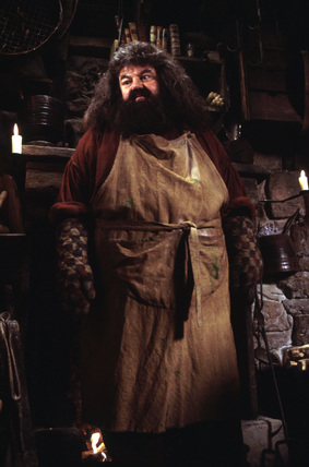 198884.jpg