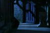 PDVD_481.JPG