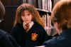 PDVD_611.JPG