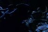 PDVD_10_0~0.JPG
