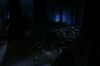 PDVD_788.JPG