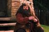PDVD_8_0~0.JPG