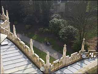 roof_view_20.jpg