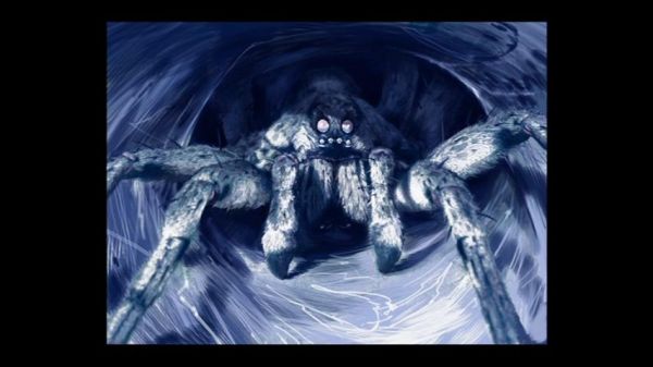 spidersketch5.JPG