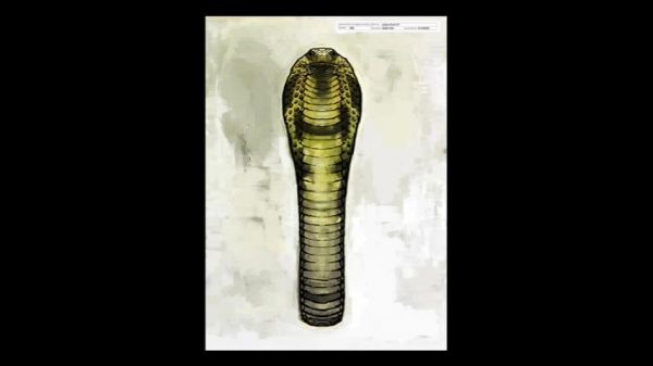 snakesketch.JPG