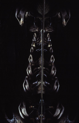 198975.jpg 198975.jpg