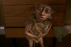 PDVD_17_5.JPG