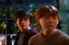 PDVD_14_8.JPG