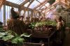 PDVD_15_4.JPG