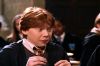 PDVD_15_5~0.JPG