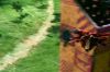 PDVD_1_40.JPG