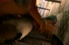 PDVD_1_5_~0.JPG