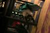 PDVD_1_68.JPG
