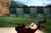 PDVD_1__2~0.JPG