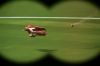 PDVD_1__5.JPG
