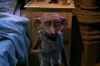 PDVD_2055.JPG