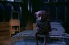 PDVD_20_8.JPG