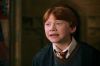PDVD_21_8~0.JPG
