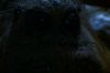 PDVD_25_0~0.JPG