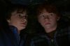 PDVD_25_6.JPG