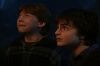 PDVD_25_8~0.JPG