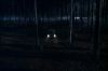 PDVD_264_~0.JPG