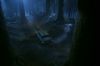 PDVD_26_1.JPG