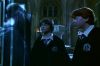 PDVD_2_4_~0.JPG