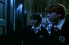 PDVD_2_50.JPG