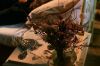 PDVD_266_(1)~0.JPG