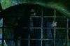 PDVD_2_47(1).JPG