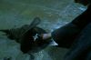 PDVD_2_66(1).JPG
