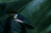 PDVD_2_72(1).JPG